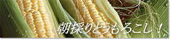�Ƃ����낵�̂������y�[�W��