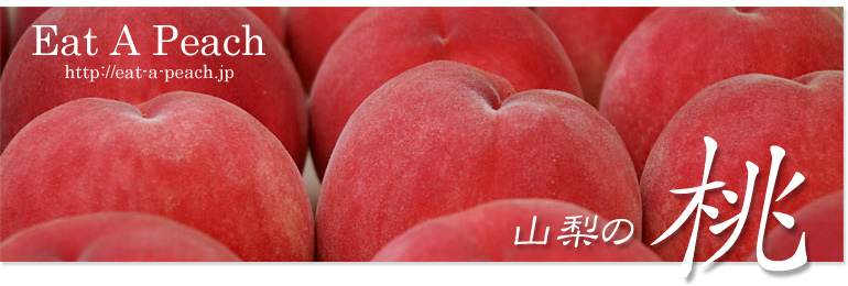 �R���̓��@�C�[�g�E�A�E�s�[�`�u�c�_��TOP��