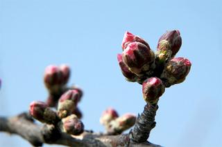 2005-04-27 15:11:59