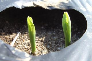 2005-04-28 13:55:22