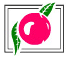 https://eat-a-peach.jp/index 