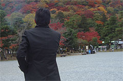 画像をクリックすると拡大版に飛びます。