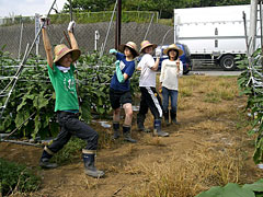 2007年Staff拡大版