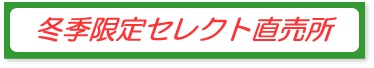 ZNgɖ߂