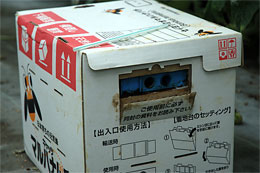 マルハナバチの巣箱