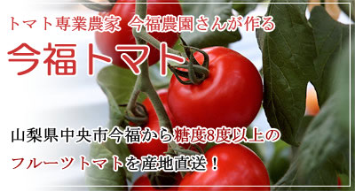 今福トマト