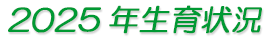 2023年 生育状況