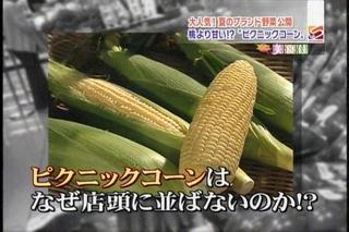 2009-02-04 08:00:54
